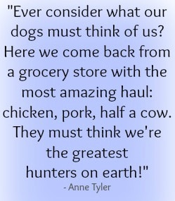 Tips on Dog Behavior