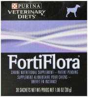 Most Common Dog Diseases