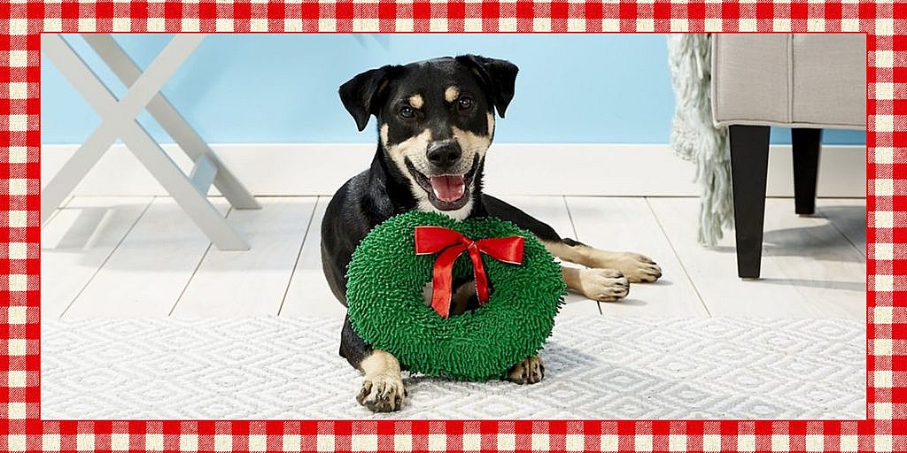 13 Christmas Gift Ideas for Dog Walkers - HopingFor Blog