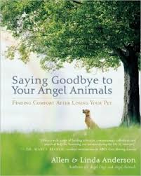 spiritual pet loss grief