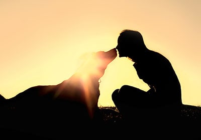 Help Grieving The Death Of Your Dog - HopingFor Blog