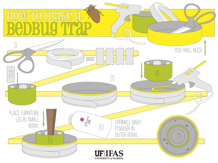 How To Make A Bed Bug Trap HopingFor Blog how-to-make-a-bed-bug-trap-hopingfor-blog