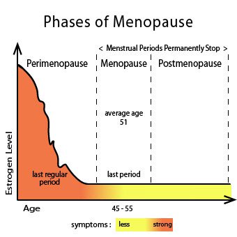 When Does Menopause Start? Signs of Perimenopause - HopingFor Blog